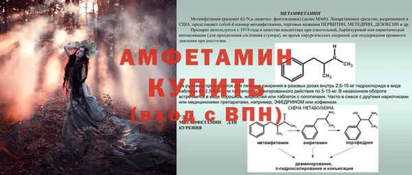 дмт Арсеньев