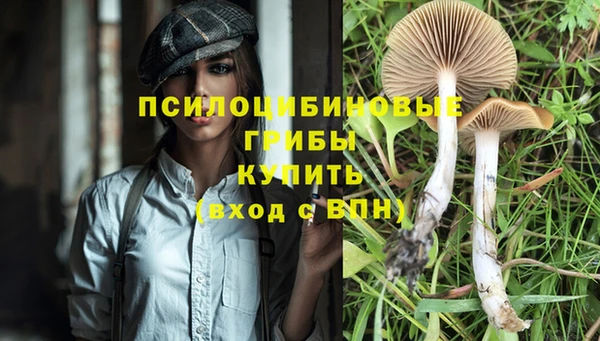 дмт Арсеньев